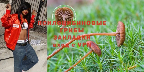 прущая мука Аркадак