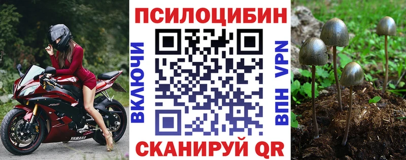 магазин  наркотиков  Венёв  Галлюциногенные грибы MAGIC MUSHROOMS 